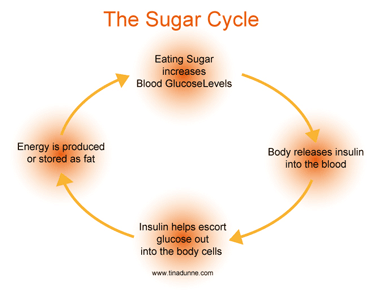 sugar cycle